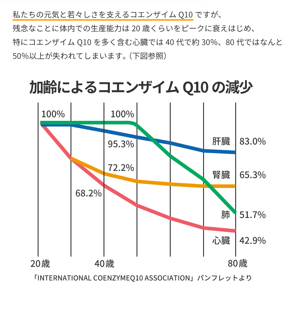 コエンザイムQ10の体内量の低下の表