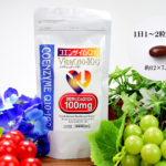 ビタキュー10_100mg