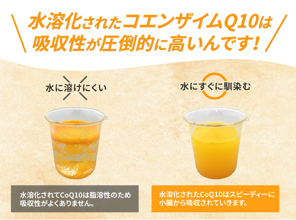 水溶化されたコエンザイムQ10の吸収性のグラフ
